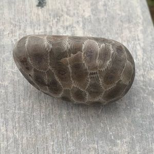 Petoskey stone